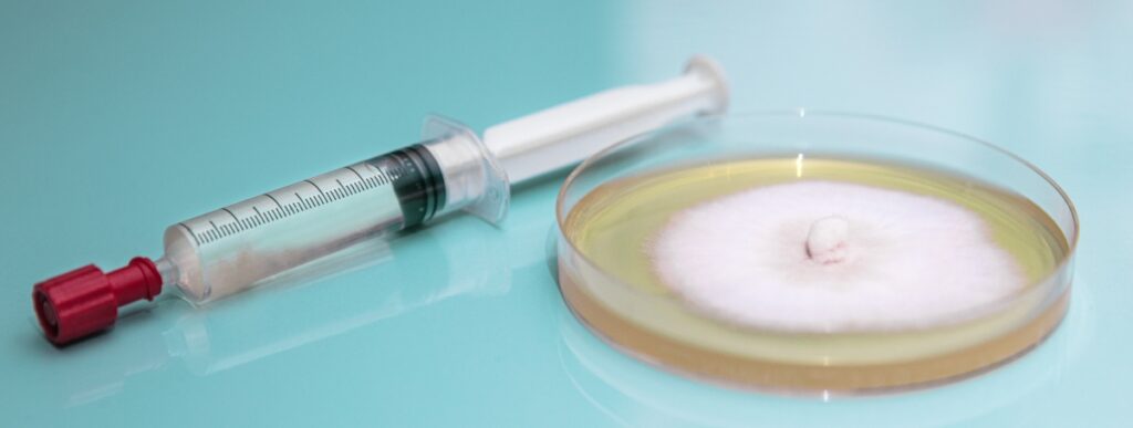 The Fascinating World of Mushroom Spore Syringes