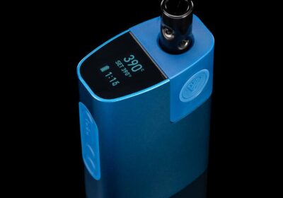 Which Dry Herb Vaporizers Offer the Best Value and Performance?