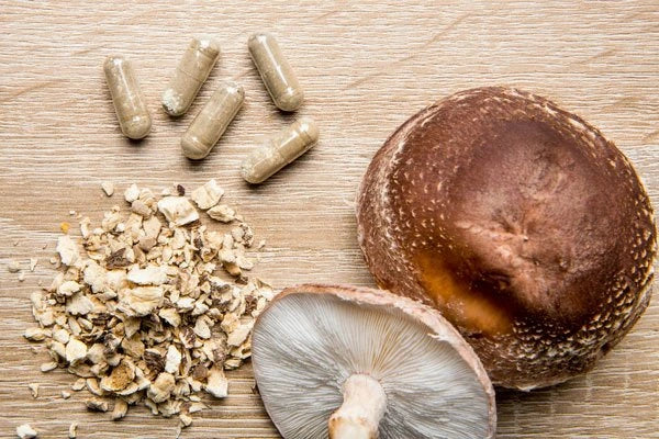 Medicinal Mushrooms