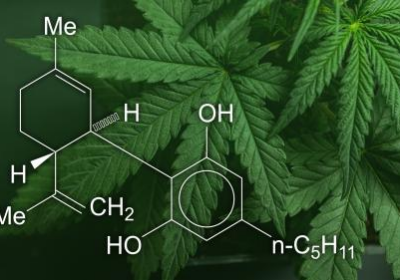 The Science Behind CBD: How It Works in Your Body