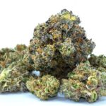 What Is THCA? Breaking Down the Benefits Before the Buzz