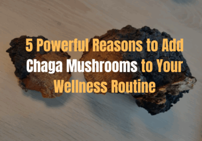 5 Powerful Reasons to Add Chaga Mushrooms to Your Wellness Routine