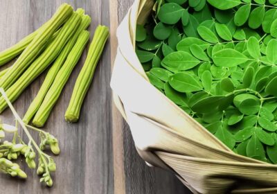 Moringa: Nature’s Superfood for Health and Wellness