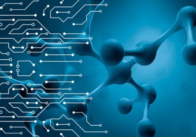 Cognitive Revolution: How Supplements Reshape Mental Power